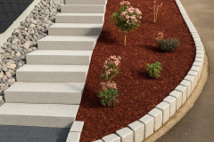 6C0E6B99-25DF-42B9-9857-C4BBAF9F5939