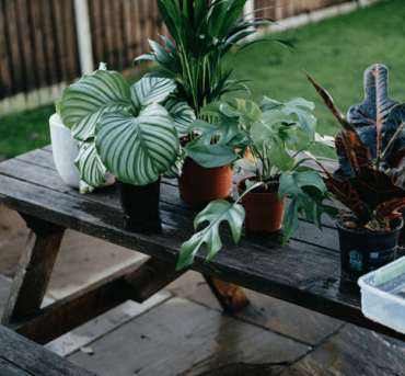 annie-spratt-yyXw1lGJypI-unsplash annie-spratt-yyXw1lGJypI-unsplash